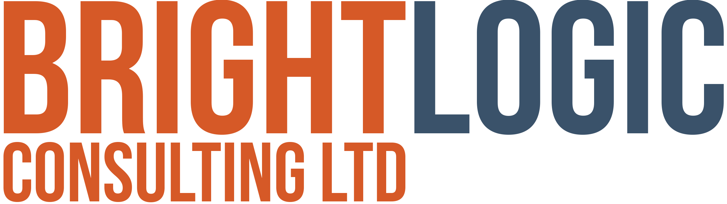 Brightlogic Consulting